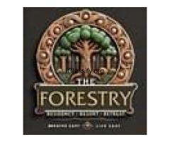 The Forestry