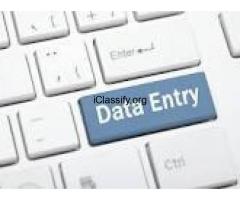 BPO Non voice projects and US Medical Form Filling available