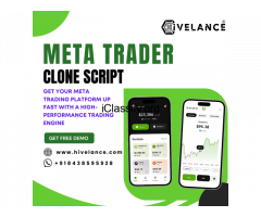 MetaTrader Clone Script -Enter the Online Trading Market Fast