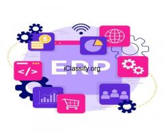 Transform Your Business with ERP Development Services