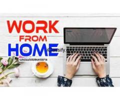 US Medical Form Filling job 7708244092US