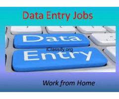 Genuine US Medical Form Filling project available.