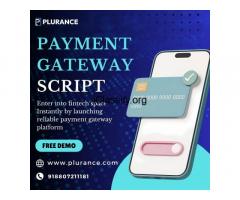 Power Up Your Payment Platform Dreams – Free Demo of Our Script