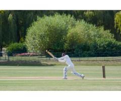 T20Match Delivers Cricket Information When Fans Actually Need It Most