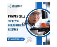Primary Cells: The Key to Groundbreaking Research