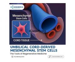 Umbilical Cord-Derived Mesenchymal Stem Cells: Kosheeka