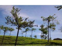 Madurai Holidays