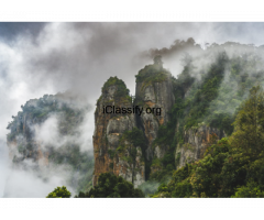 Kodaikanal Tour Packages